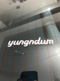 Yung N Dum - Clean Cursive